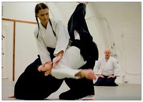 Poster Impara l'aikido e il taekwondo