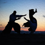 Học Aikido