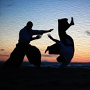 Học Aikido APK