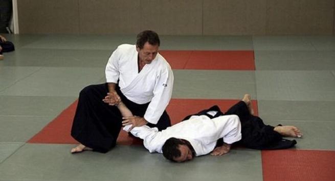 How To Learn Aikido For Free For Android Apk Download