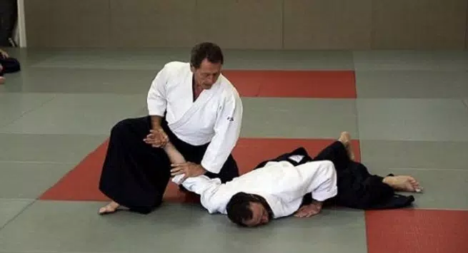How To Learn Aikido For Free Apk For Android Download