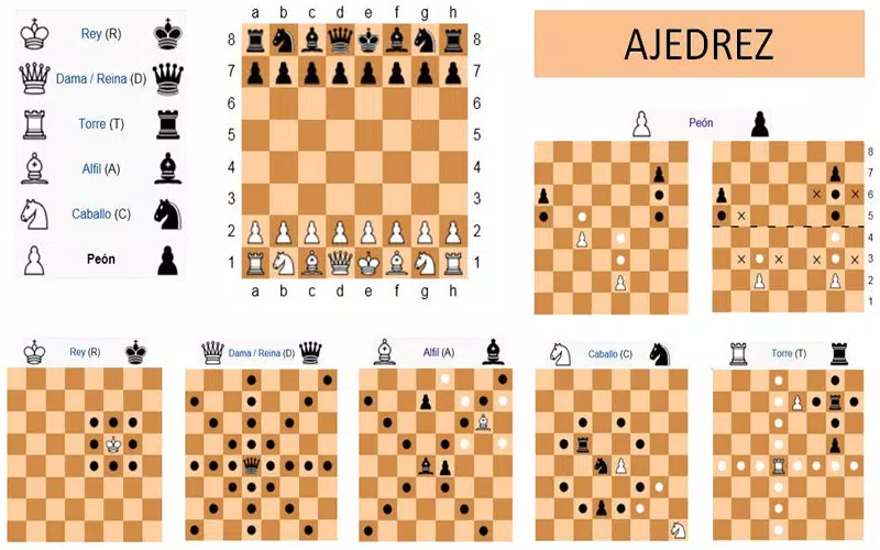 Regras básicas do xadrez