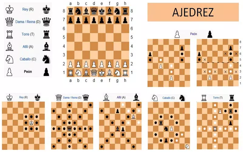 Regras básicas para iniciantes em xadrez