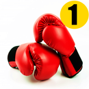 Aprende a boxear con clases de boxeo APK