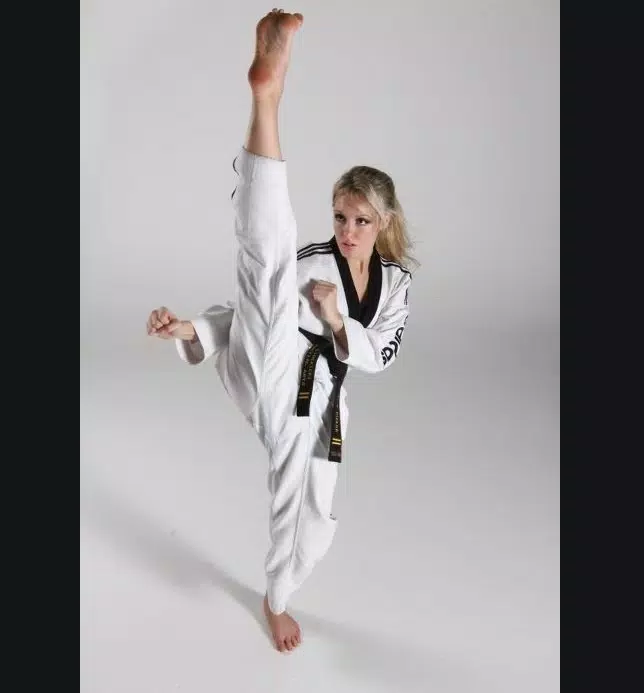 Descarga de APK de Aprender karate. Artes marciales para Android
