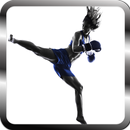 Apprenez Kingboxing et les art APK