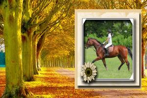 Learn to ride a horse with videos poster