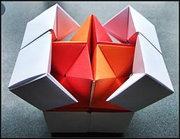 Apprenez à faire l'origami, étape par étape capture d'écran 1