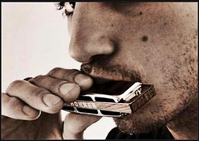 Learn to play the Harmonica capture d'écran 3