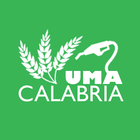 UMA Calabria ícone