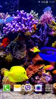 Aquarium 4K Video Wallpaper ảnh chụp màn hình 1