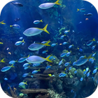 Aquarium 4K Video Wallpaper آئیکن