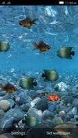 Aquarium Live WallPaper plakat