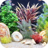 Aquarium 3D Live Wallpaper