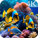 Aquarium Live Wallpaper APK