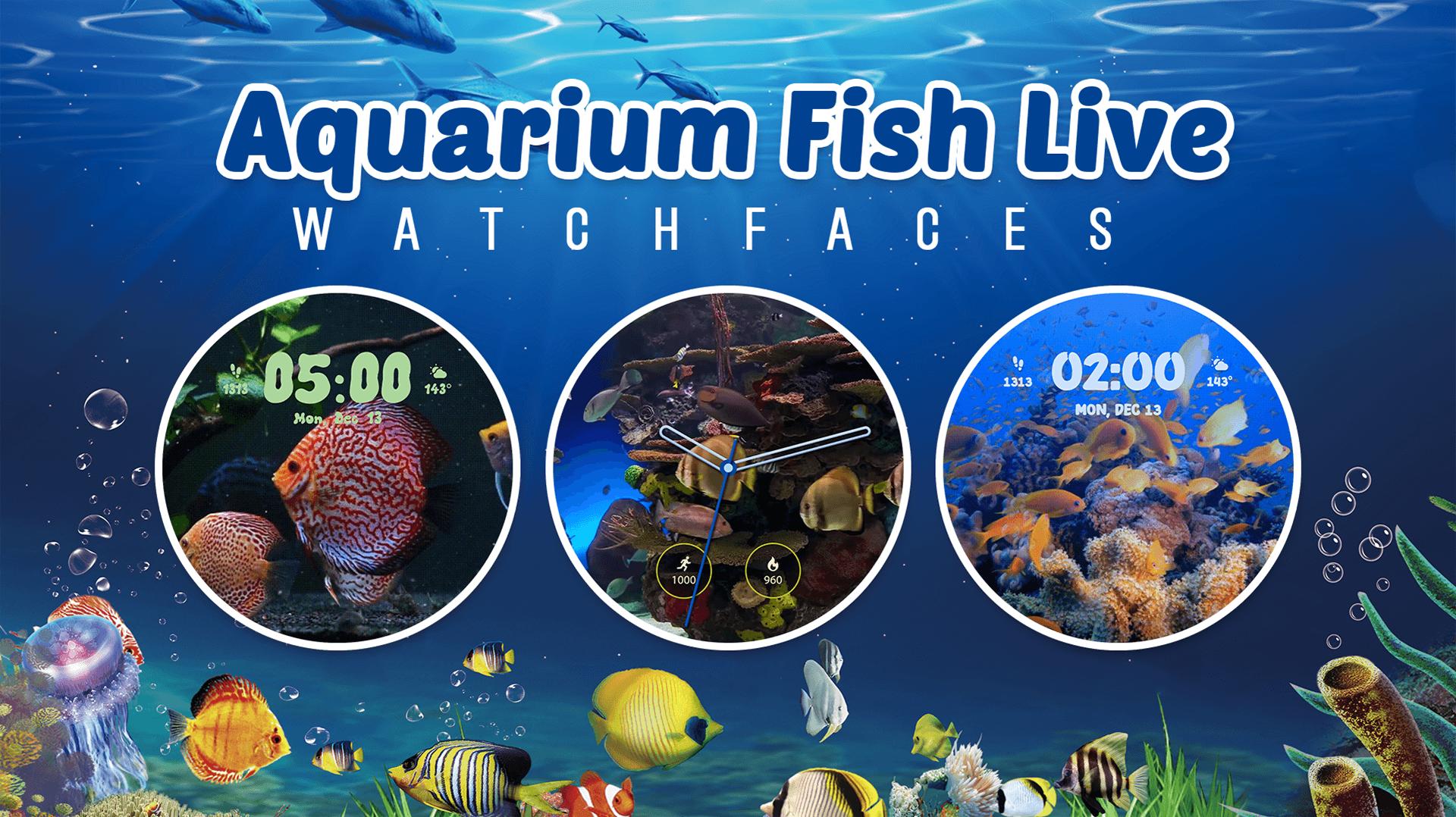 Aquarium Fish Live Watch Faces APK For Android Download aquarium-fish-live-watch-faces-apk-for-android-download