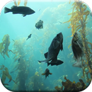 Aquarium Vidéo Live Wallpaper APK