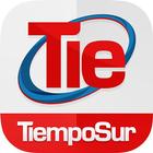 Diario TiempoSur Digital icône