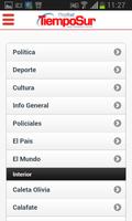 Diario TiempoSur Digital پوسٹر