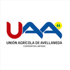 UAA Información 圖標