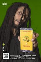 PelaGatos Reggae iRadio پوسٹر