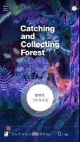 Catching and Collecting Forest Affiche