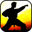 Learn martial arts