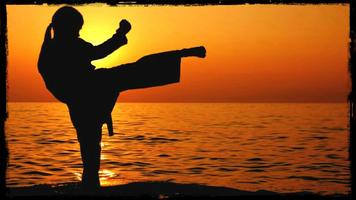 Aprender artes marciales captura de pantalla 2