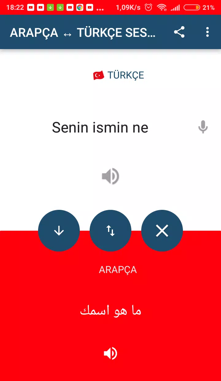 Android İndirme için Türkçe Arapça Çeviri APK