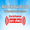 Radio Sintonia del Cielo