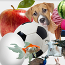 Best Abc Animations Memory+ APK