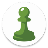 Chess (Online & Offline) 048