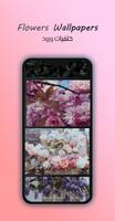 4K Flowers Wallpapers Affiche