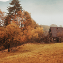 8k Neutral Wallpaper APK