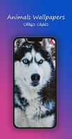 8k Animals Wallpapers Affiche