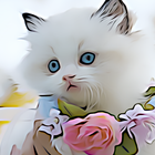 4K Cats Wallpapers biểu tượng