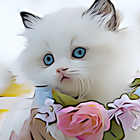 4K Cats Wallpapers icon