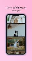 4K Cats Wallpapers Affiche