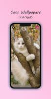 4K Cats Wallpapers Ekran Görüntüsü 1