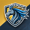ASB VPN APK