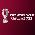 Noticias Mundial Qatar 2022 icône