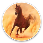 Horse  Rider icon