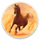 Horse  Rider icône