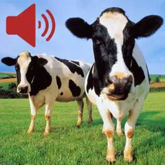 Descargar APK de Real Animal Sounds