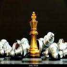 Icona Chess 3d Pro