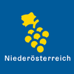 Heurigen Niederösterreich