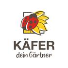 Blumen Käfer icon