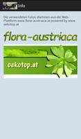 flora_austriaca_quiz screenshot 2