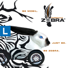 Fahrschule Zebra icône