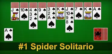 Solitario Spider